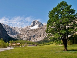 Gramai, Góry, Alpengasthof, Łąka, Lasy, Tyrol, Hotel